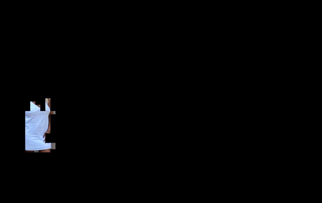 Garment